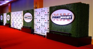 Celebrity Fight Night
